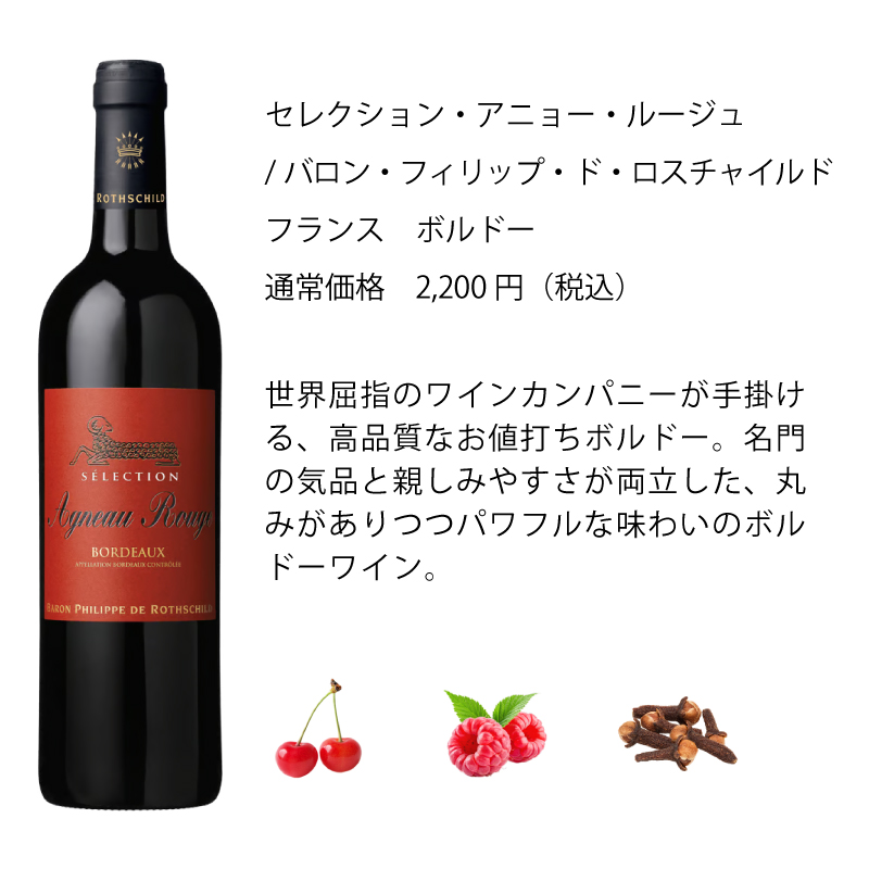 ワインセット エノテカ 厳選赤ワイン10本セット PA9-1 [750ml x 10