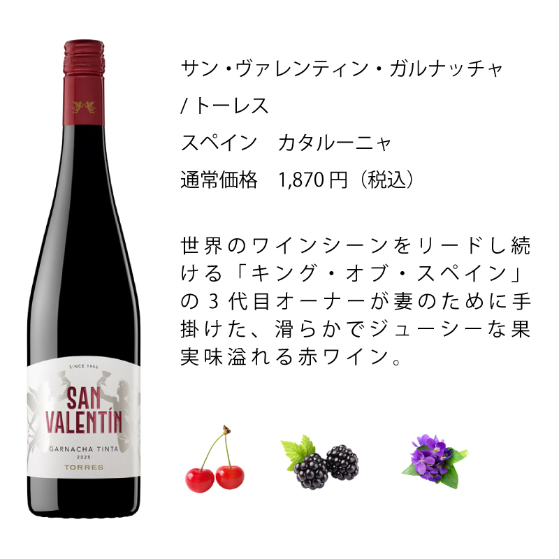 ワインセット エノテカ 厳選赤ワイン10本セット PA9-1 [750ml x 10