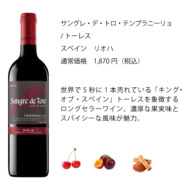 ワインセット エノテカ 厳選赤ワイン10本セット PA9-1 [750ml x 10