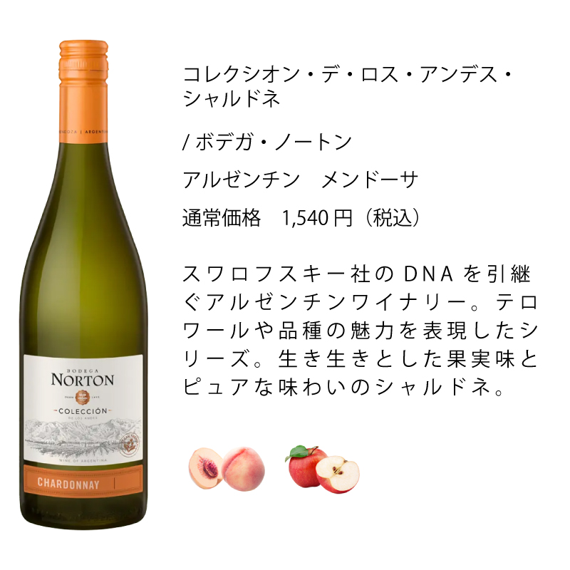 ワイン ワインセット ワイン専門店のイチオシ！エノテカ厳選白ワイン10