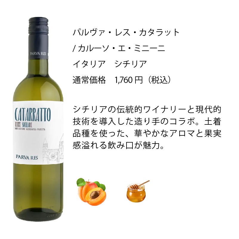 ワイン ワインセット エノテカ 厳選白ワイン10本セット PB5-1 [750ml x