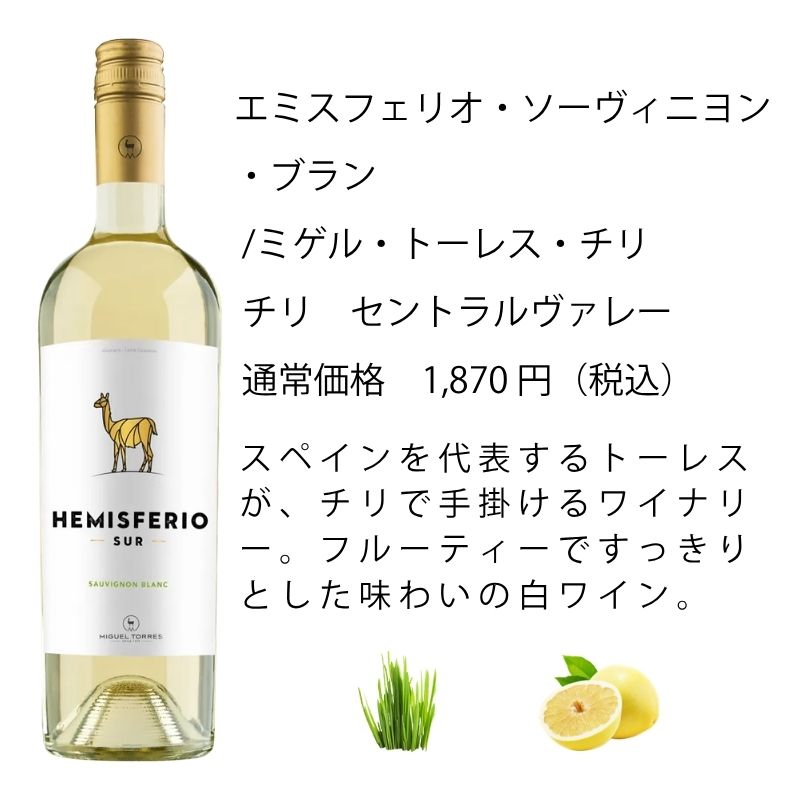 ワイン ワインセット エノテカ 厳選白ワイン10本セット PB6-2 [750ml x