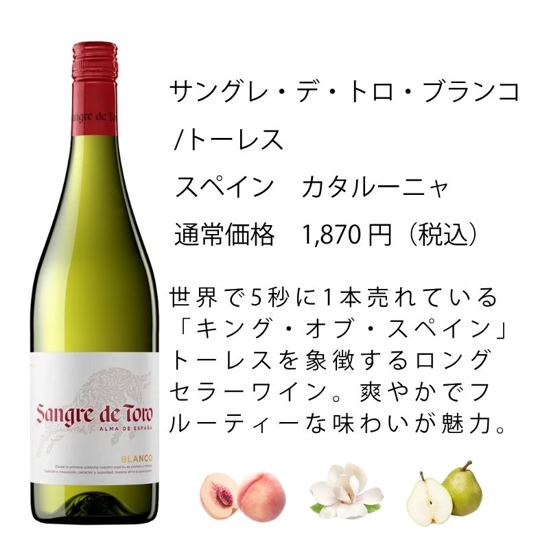 ワイン ワインセット エノテカ 厳選白ワイン10本セット PB6-3 [750ml x