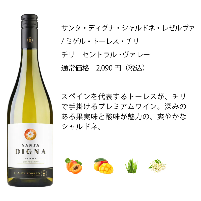 ワイン ワインセット エノテカ 厳選白ワイン10本セット PB8-1 [750ml x