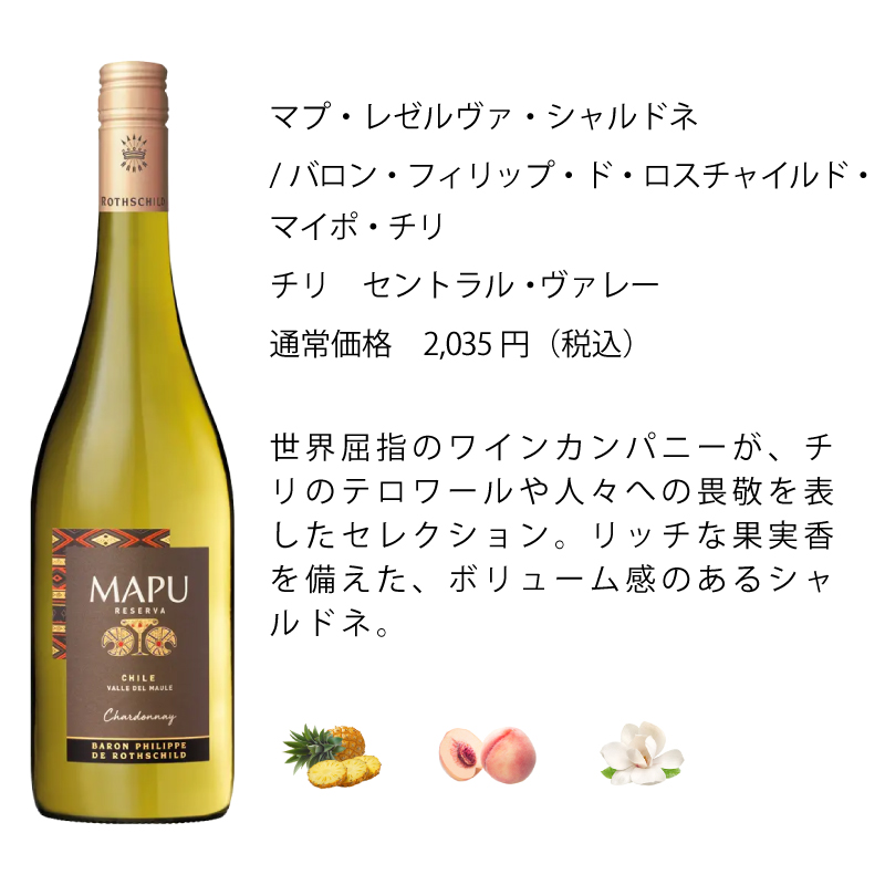 ワイン ワインセット エノテカ 厳選白ワイン10本セット PB8-1 [750ml x