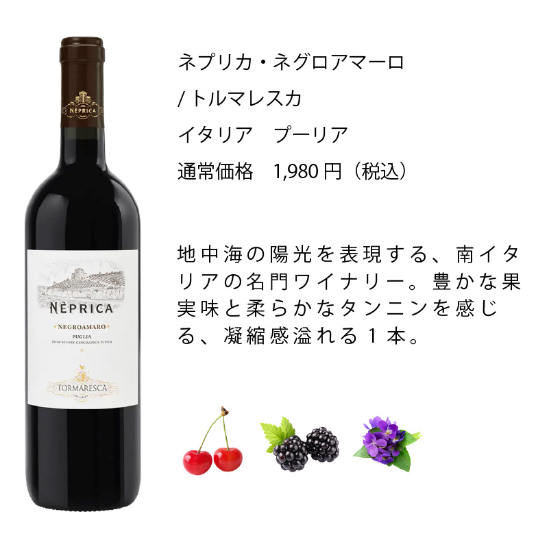 ワインセット エノテカ売れ筋！厳選バラエティー10本セット PP4-1