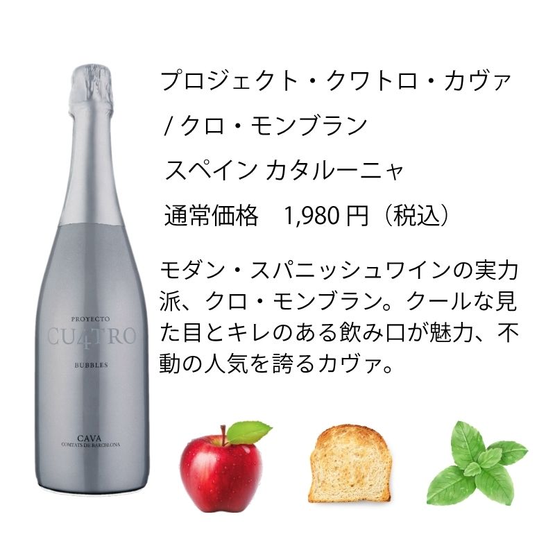 ワインセット エノテカ売れ筋！厳選バラエティー10本セット PP8-1
