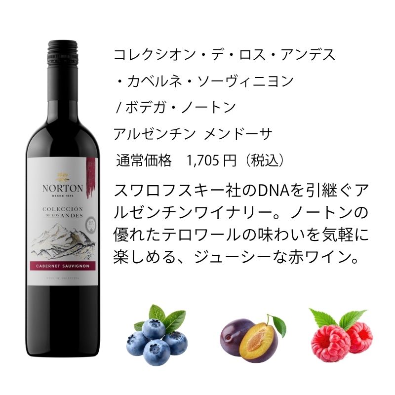 エノテカ ワイン ワインセット エノテカ売れ筋！厳選バラエティー10本セット PP8-1