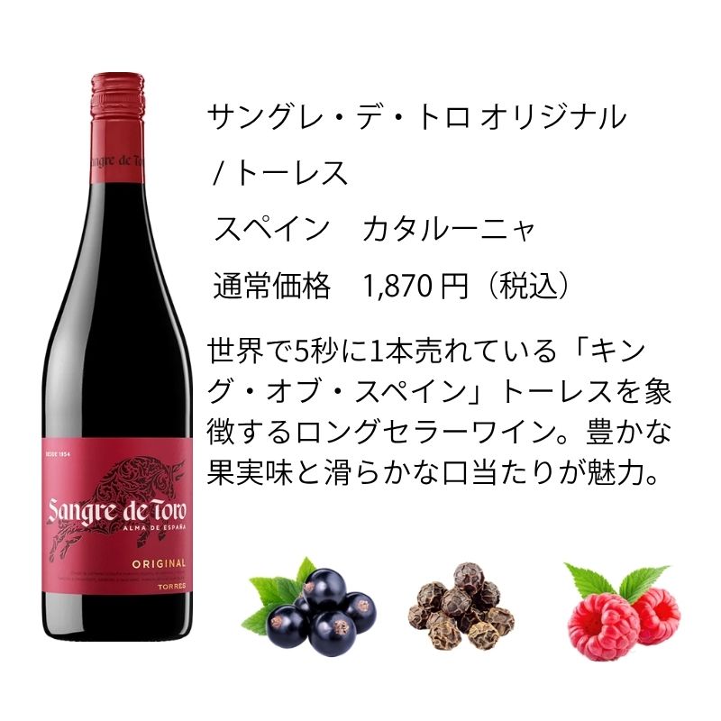 ワインセット エノテカ売れ筋！厳選バラエティー10本セット PP8-1