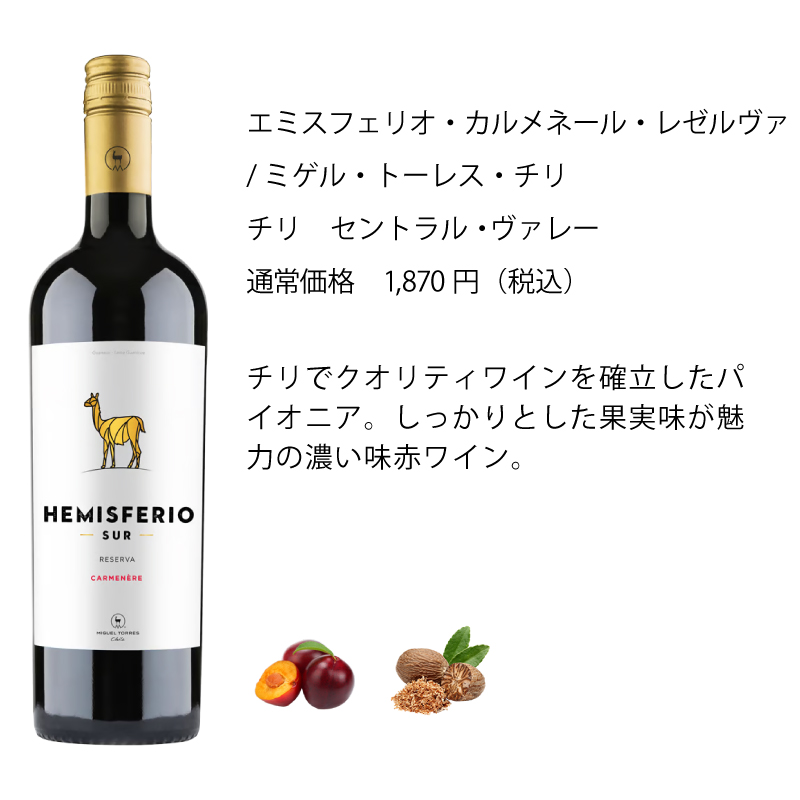 ワイン ワインセット エノテカ 超売れ筋赤ワイン5本セット [750ml x 5