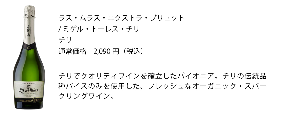 ワイン ワインセット エノテカ ソムリエ厳選 辛口スパークリング5本