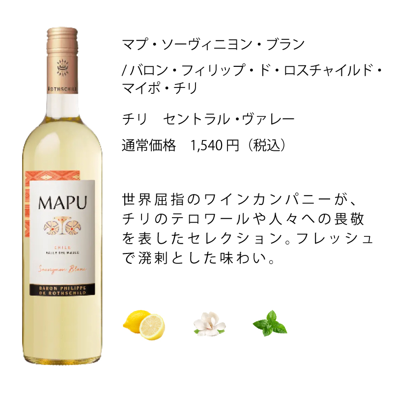 ワイン ワインセット エノテカ 厳選白ワイン10本セット PB6-3 [750ml x