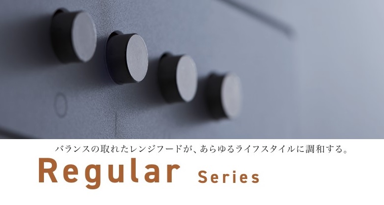 浅型レンジフードW900×D600×H200【シロッコファン】整流板タイプ WFS