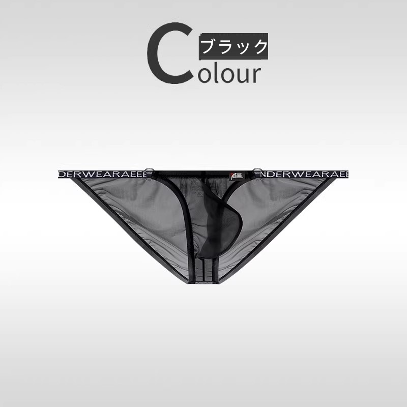 メンズビキニ ブリーフ シースール ハイカット 軽量 透け メンズ 男性下着 セクシーインナー エンスタイル enstyle ay733sj