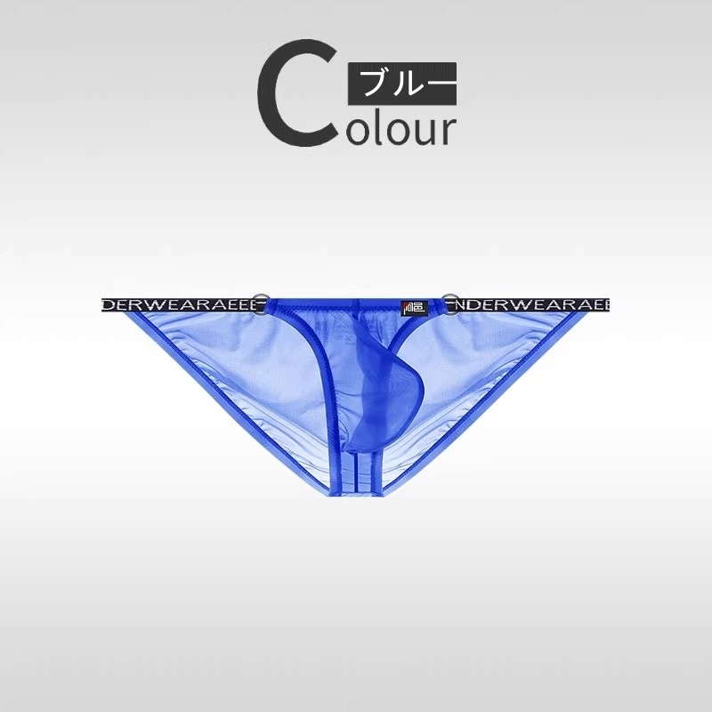 メンズビキニ ブリーフ シースール ハイカット 軽量 透け メンズ 男性下着 セクシーインナー エンスタイル enstyle ay733sj