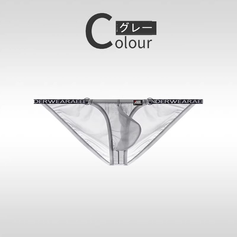 メンズビキニ ブリーフ シースール ハイカット 軽量 透け メンズ 男性下着 セクシーインナー エンスタイル enstyle ay733sj