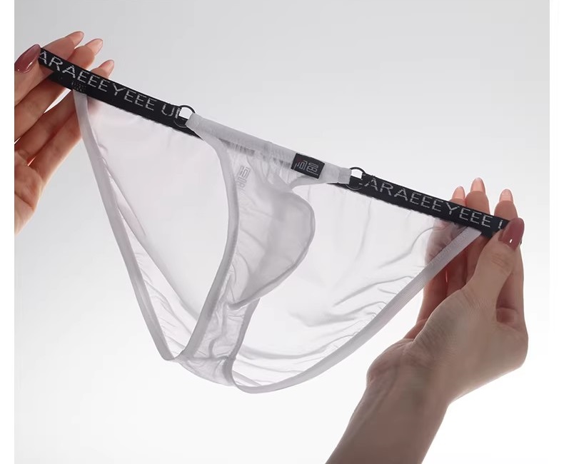 メンズビキニ ブリーフ シースール ハイカット 軽量 透け メンズ 男性下着 セクシーインナー エンスタイル enstyle ay733sj