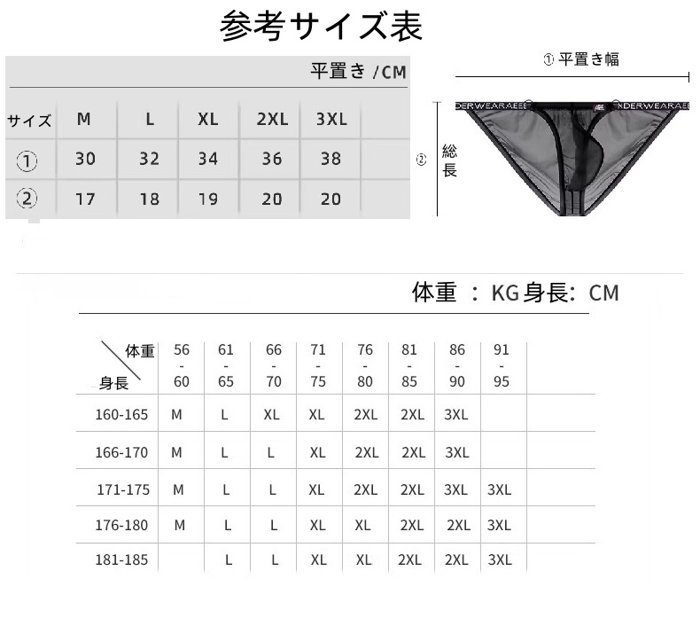 メンズビキニ ブリーフ シースール ハイカット 軽量 透け メンズ 男性下着 セクシーインナー エンスタイル enstyle ay733sj