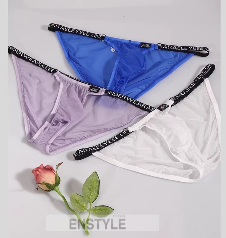 メンズビキニ ブリーフ シースール ハイカット 軽量 透け メンズ 男性下着 セクシーインナー エンスタイル enstyle ay733sj