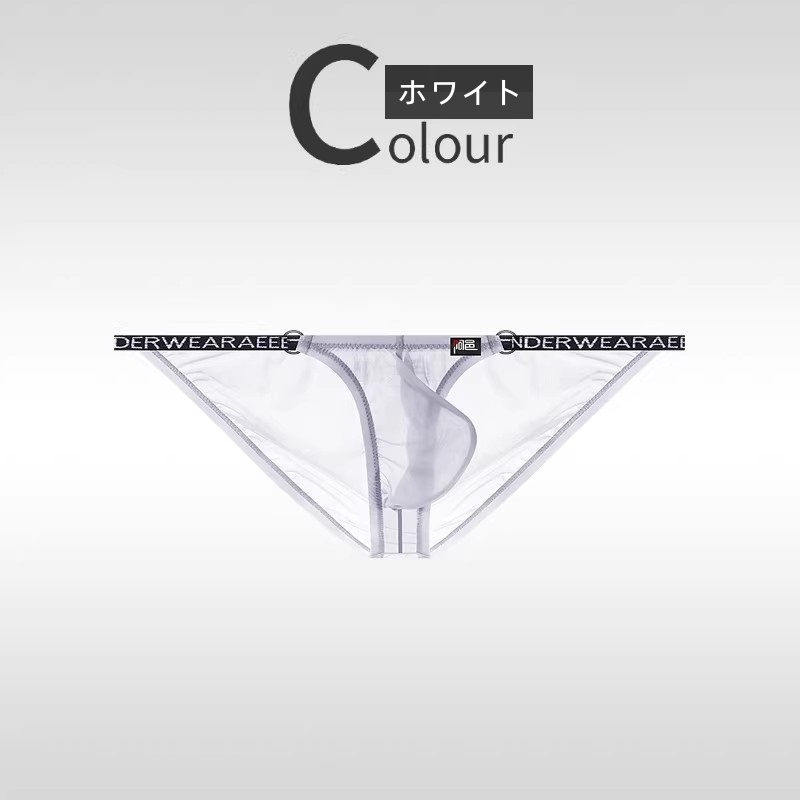 メンズビキニ ブリーフ シースール ハイカット 軽量 透け メンズ 男性下着 セクシーインナー エンスタイル enstyle ay733sj