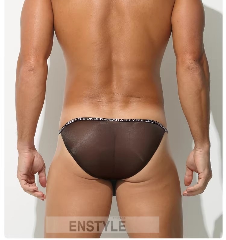 メンズビキニ ブリーフ シースール ハイカット 軽量 透け メンズ 男性下着 セクシーインナー エンスタイル enstyle ay733sj