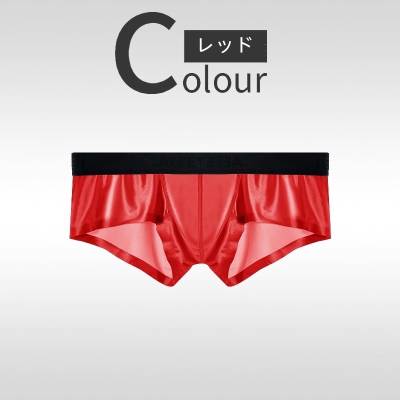 ボクサーパンツ メンズ ストレッチ 水着素材 ローライズ セクシーインナー enstyle エンスタイル ay876pj