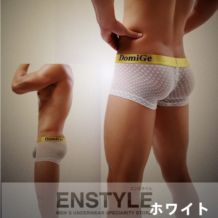 ボクサーパンツ 男性下着 メンズ インナー レース シースルー エンスタイル dg12