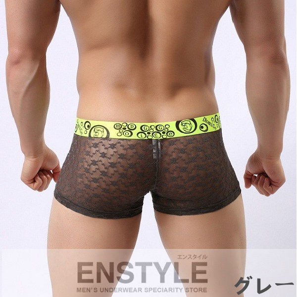 ボクサーパンツ 男性下着 メンズ インナー レース シースルー エンスタイル dg12
