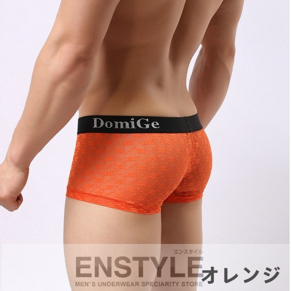 ボクサーパンツ 男性下着 メンズ インナー レース シースルー エンスタイル dg12