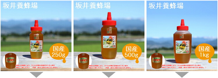 はちみつ 国産 1kg アカシア 500g × 2本セット 国産はちみつ アカシア蜂蜜 坂井養蜂場 アカシア スイーツ 低糖質 低GI値 坂井養蜂場  :z16848:生活雑貨 通販 ランデルストア - 通販 - Yahoo!ショッピング