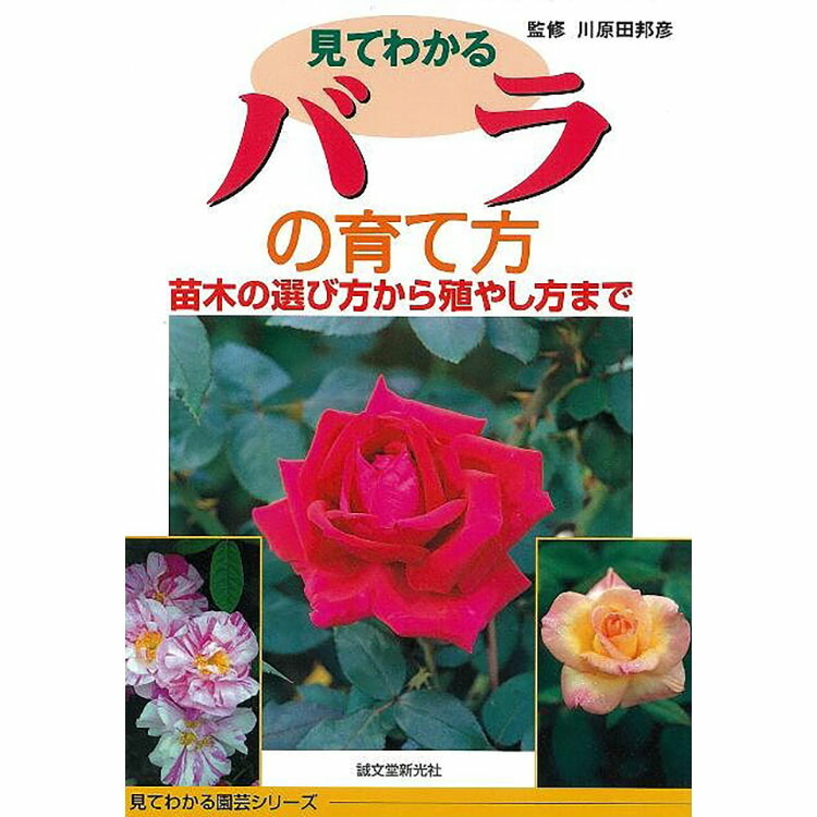 の 育て 方 バラ