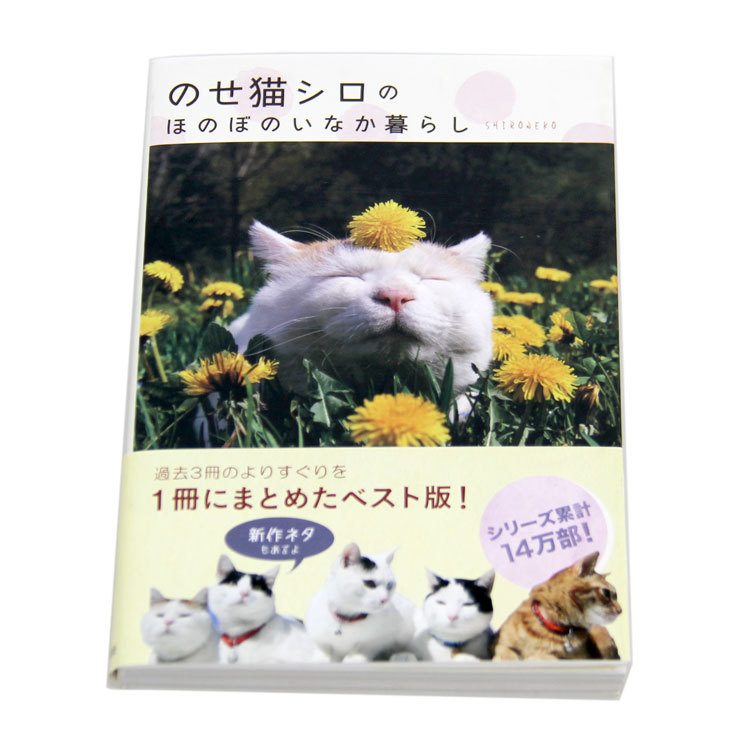 本 書籍 宝島社 のせ猫シロのほのぼのいなか暮らし ｓｈｉｒｏｎｅｋｏ かわいい 写真 のせ猫まんが 八木書店 シリーズ ぶさかわ ブサカワ キャベツ Z 生活雑貨 通販 ランデルストア 通販 Yahoo ショッピング