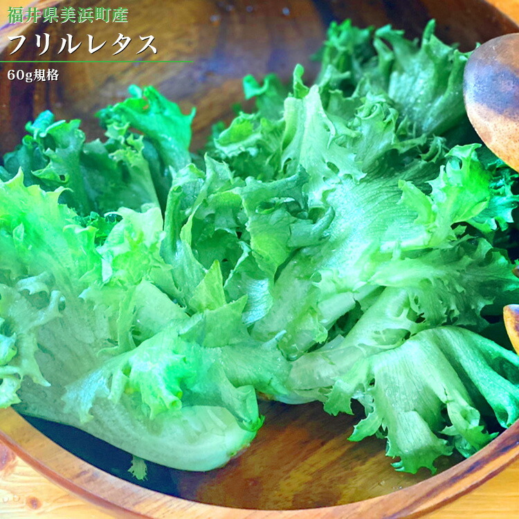 野菜 無農薬 レタス フリルレタス 60g規格 メーカー直送品 屋内栽培 Led野菜 新鮮 福井県美浜町 ノーマン Noumann Z 生活雑貨 通販 ランデルストア 通販 Yahoo ショッピング 野菜 無農薬 レタス フリルレタス 60g規格 メーカー直送品 屋内栽培 Led野菜 新鮮 福井県美浜町 ノーマン Noumann Z 生活雑貨 通販 ランデルストア 通販 Yahoo ショッピング