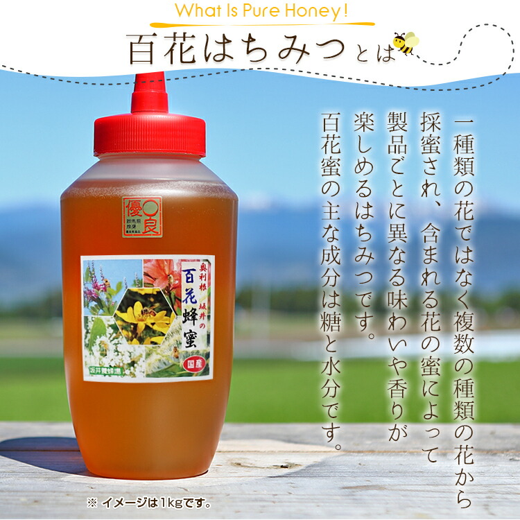 はちみつ 国産 1kg 500g×2本セット 百花蜂蜜 人気 国産はちみつ 坂井養蜂場 百花蜜 ハチミツ ハニー スイーツ パンケーキ 上質 上品 蜂 養蜂  養蜂場 甘味 :z23907:生活雑貨 通販 ランデルストア - 通販 - Yahoo!ショッピング