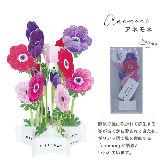 50033 誕生日 メッセージカード ポスト投函 ギフト お花