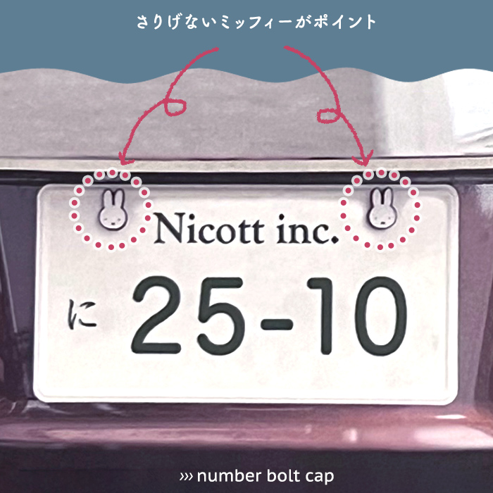 lic-mf0146-8_1.jpg