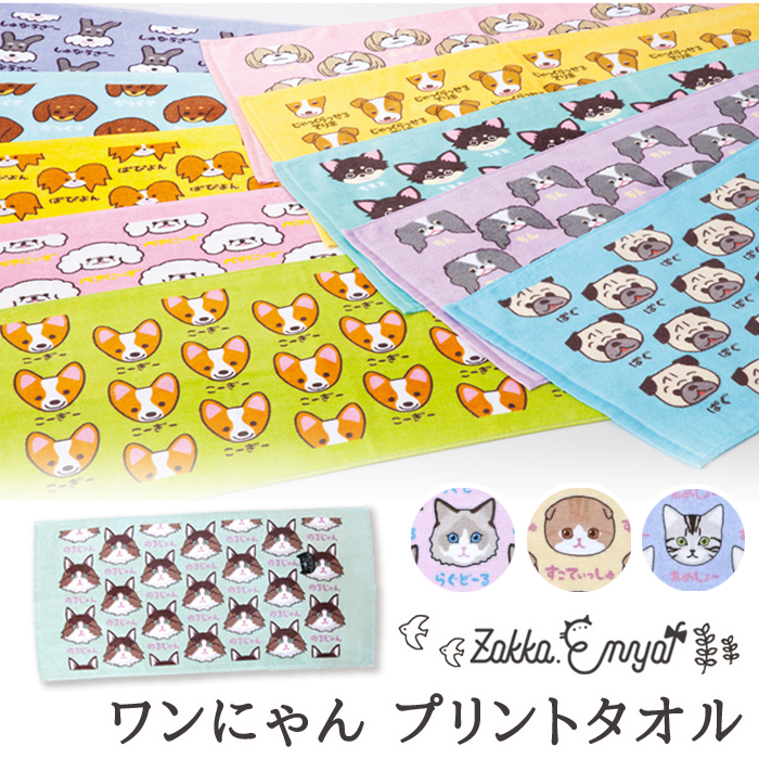 絵本のタオル】きんぎょがにげた PT ドット – 親子の時間研究所STORE