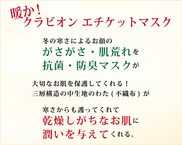 在庫あり 即納 日本製 抗菌マスク メッシュ 立体 ハニカム 防臭