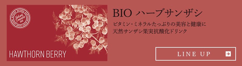 ALPSion BIO ハーブサンザシ 15mL×24本入り スティックタイプ ビタミン ミネラル :alpsion-015:Beautiful  Toy Box ヤフー店 - 通販 - Yahoo!ショッピング