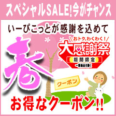 【100円OFF☆特別クーポン】2個以上お買物でお得なクーポン！《数量限定・期間限定》