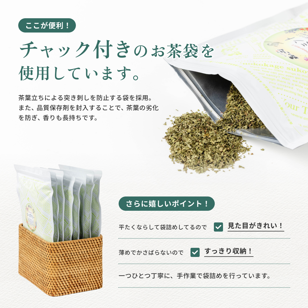 森のこかげ S サラシア茶 3g×100p ティーバッグ さらしあ茶 サラシア