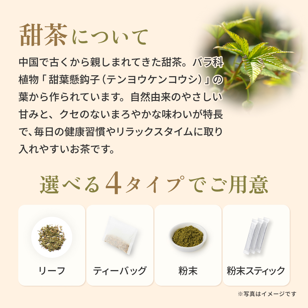 甜茶 てんちゃ 2g×100p ティーバッグ お徳用 てんようけんこうし (残留農薬検査済) 北海道 沖縄 離島も無料配送可 森のこかげ 売れ筋 健徳T 関連画像1