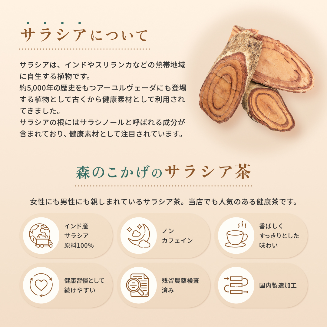 サラシア茶 3g×100p ×3袋セット (残留農薬検査済) 北海道 沖縄 離島も無料配送可 森のこかげ 売れ筋 売サラ 関連画像2