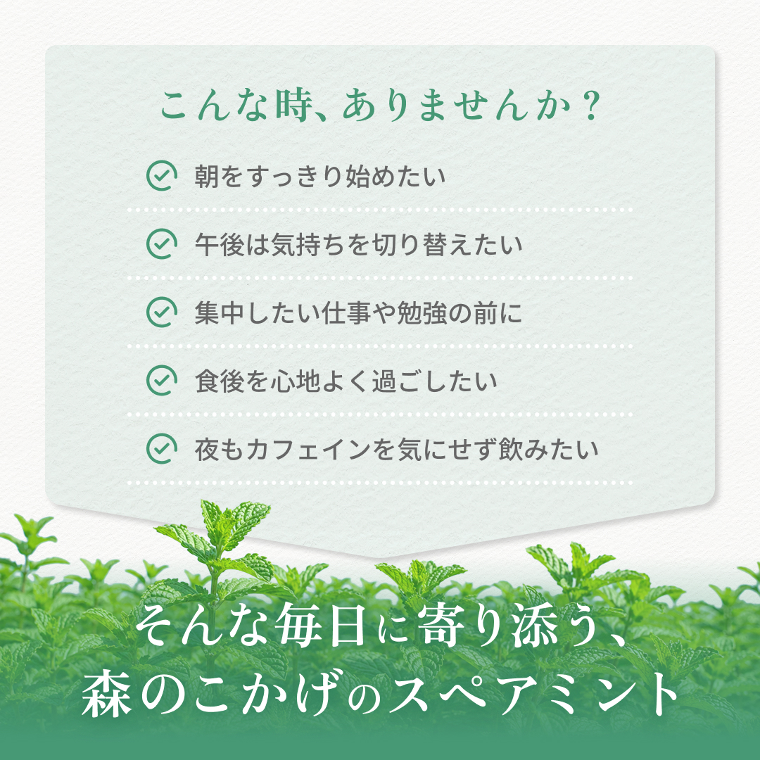 スペアミントティー(1.5g×25p) 清涼感あふれる(残留農薬検査済)北海道 沖縄 離島も無料配送可 森のこかげ ハ少T 関連画像1