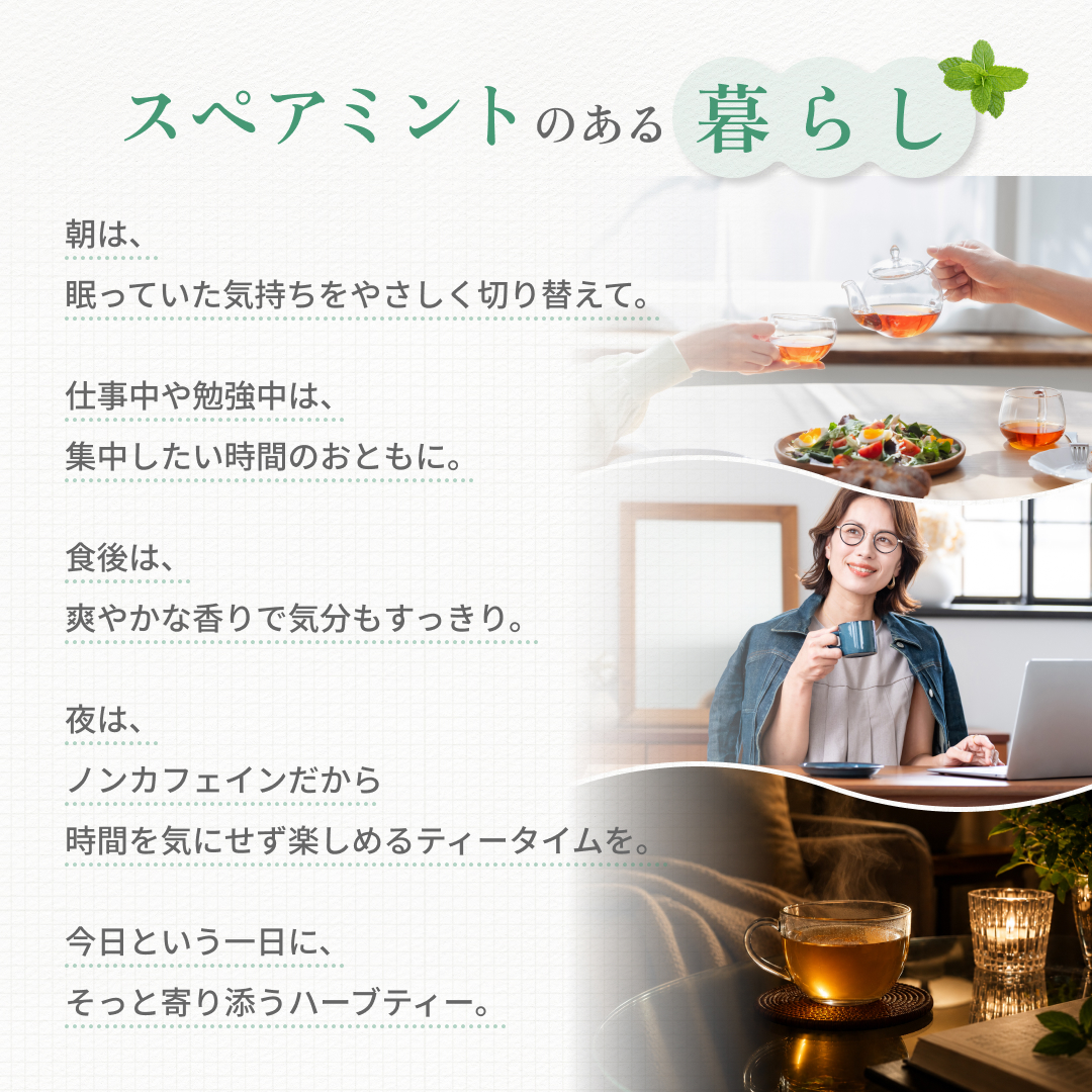 スペアミントティー(1.5g×25p) 清涼感あふれる(残留農薬検査済)北海道 沖縄 離島も無料配送可 森のこかげ ハ少T 関連画像2