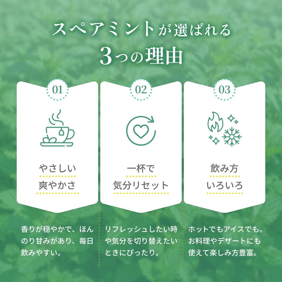 スペアミントティー(1.5g×25p) 清涼感あふれる(残留農薬検査済)北海道 沖縄 離島も無料配送可 森のこかげ ハ少T 関連画像4