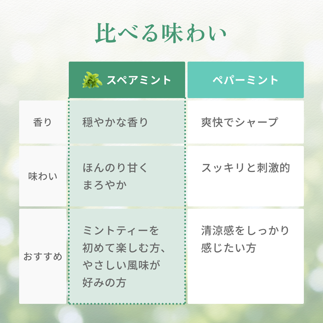 スペアミントティー(1.5g×25p) 清涼感あふれる(残留農薬検査済)北海道 沖縄 離島も無料配送可 森のこかげ ハ少T 関連画像5