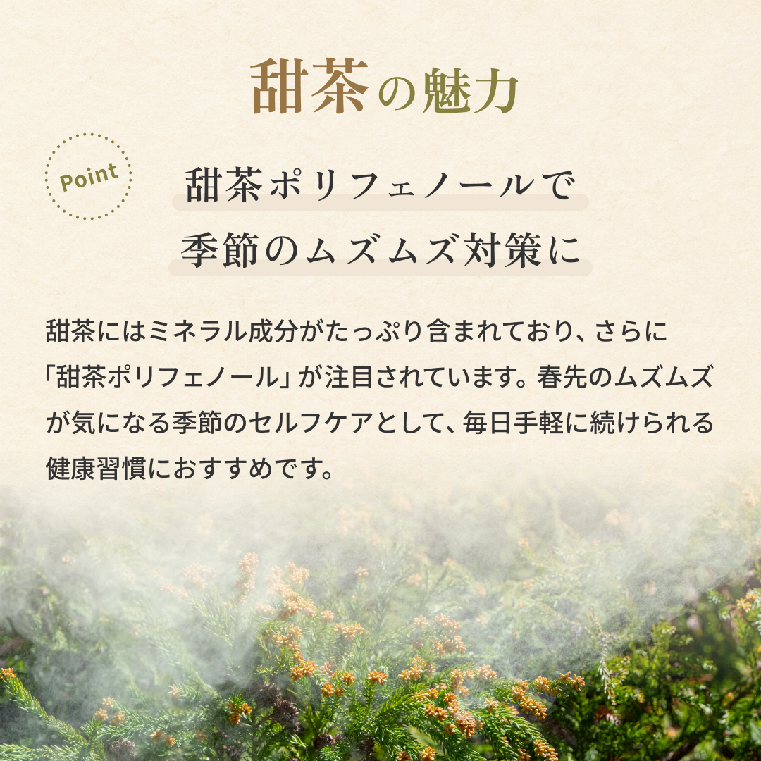 甜茶 てんちゃ 2g×100p ティーバッグ お徳用 てんようけんこうし (残留農薬検査済) 北海道 沖縄 離島も無料配送可 森のこかげ 売れ筋 健徳T 関連画像3