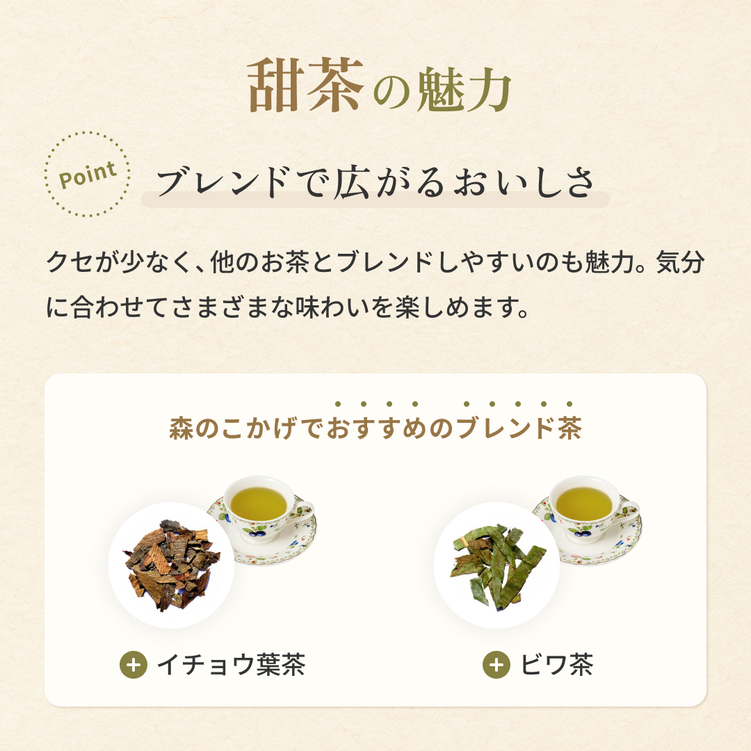 甜茶 てんちゃ 2g×100p ティーバッグ お徳用 てんようけんこうし (残留農薬検査済) 北海道 沖縄 離島も無料配送可 森のこかげ 売れ筋 健徳T 関連画像5