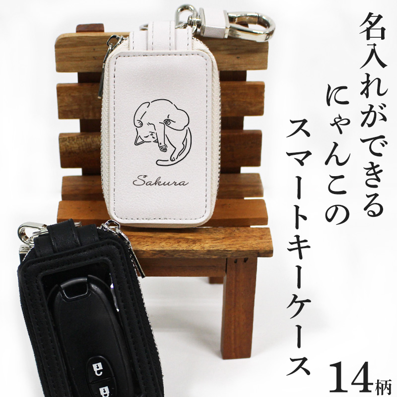 smartkeycase-03-n000.jpg